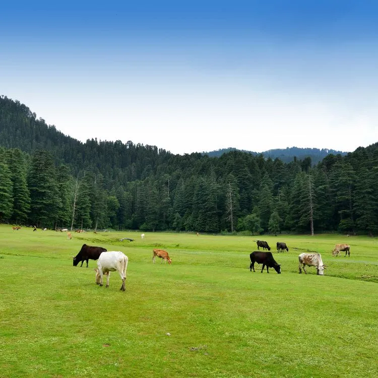 Kullu Manali